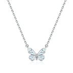 THE BUTTERFLY